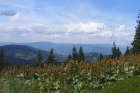 Widok na Beskid Śląski, nieco przygarbiona na horyzoncie Barania Góra
