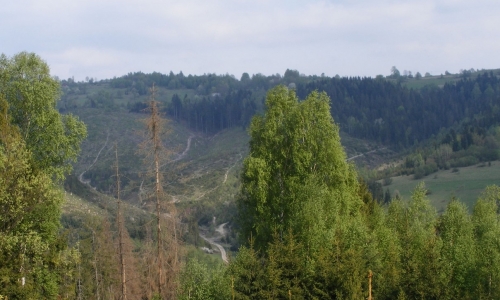 To oczywiście moja fotka choć ne z tej eskapady. Aparatu wtedy nie mieliśmy. Tu okolice innej mojej przygody z chodzeniem bez szlaku. Ale o tym innym razem.