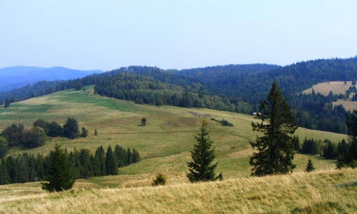 Przełęcz Rozdziele Przełęcz Rozdziele